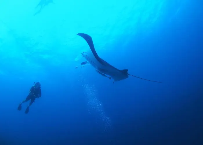 Unwind Dhigurah