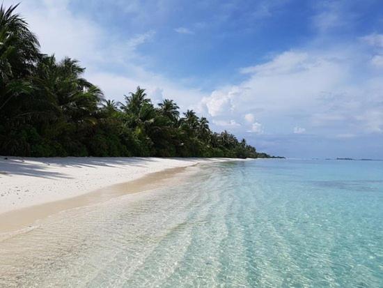 Unwind Dhigurah Pensiune *