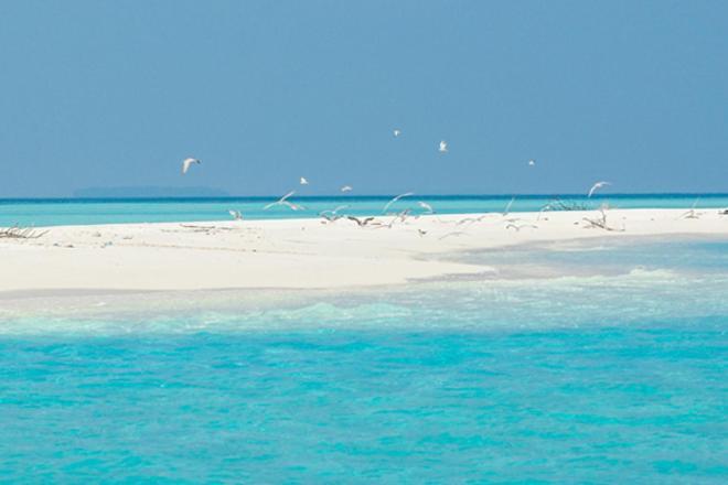Pensiune Unwind Dhigurah Dhigurah (Alif Dhaal Atoll)