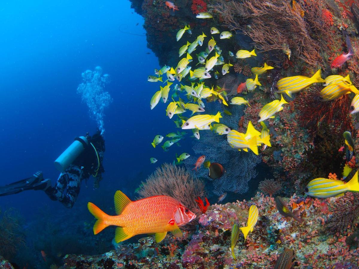 Pensiune Unwind Dhigurah *